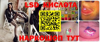 стаф Берёзовский