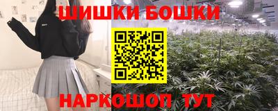 стаф Берёзовский