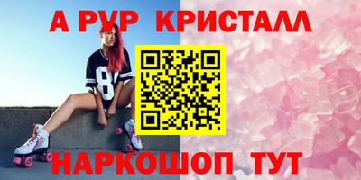 стаф Берёзовский