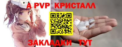 стаф Берёзовский