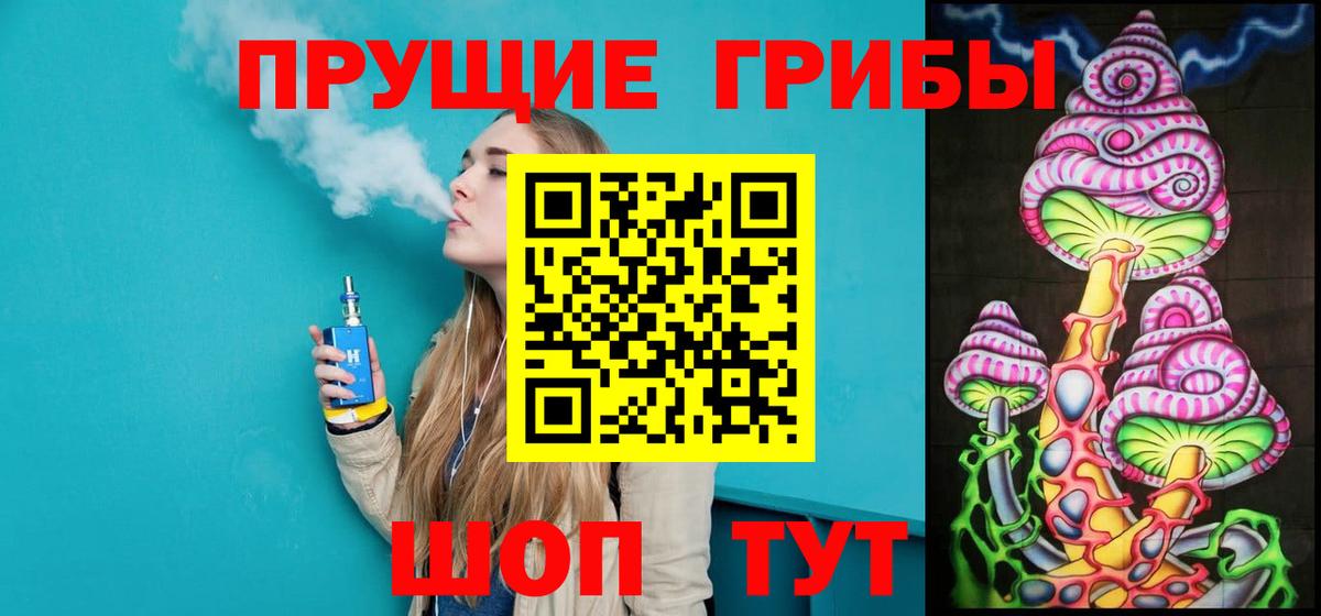 Галлюциногенные грибы Psilocybine cubensis Тимашёвск