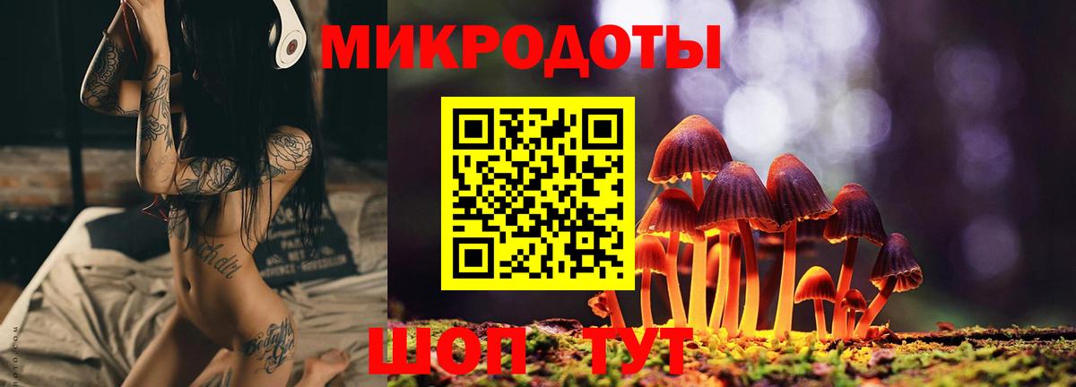 Галлюциногенные грибы Cubensis  Вход с VPN  купить наркотик  Тимашёвск 